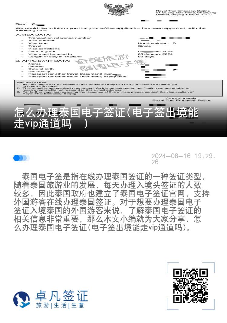 怎么办理泰国电子签证(电子签出境能走vip通道吗​)