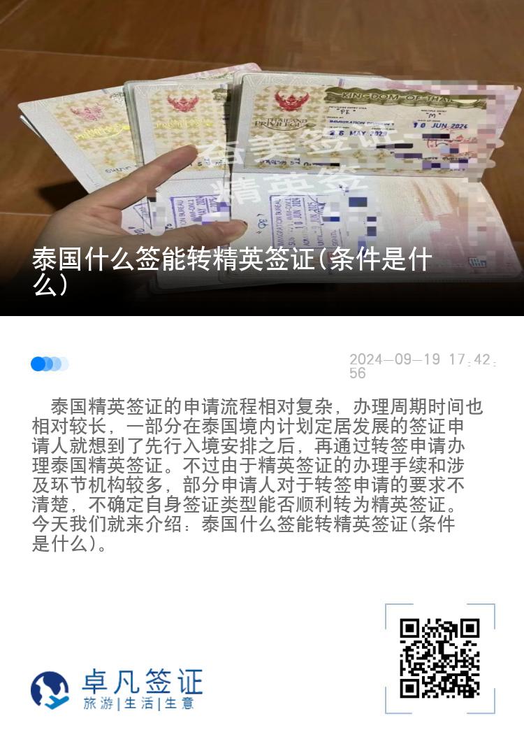 泰国什么签能转精英签证(条件是什么)